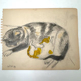 C. Betram Hartman (1882-1960) Mother Cat and Kitten, Graphite with Watercolor Drawing, 1948
