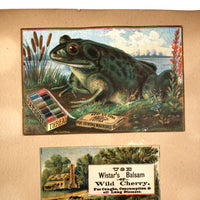 Victorian Scrapbook Album with Unusual Room Setting Collages