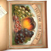 Victorian Scrapbook Album with Unusual Room Setting Collages