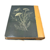 Charming Pair of 1959-1964 European Travel Sketchbooks Loaded with Mounted Colored Pencil Drawings