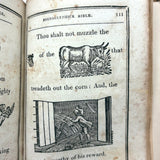 1846 Hieroglyphic Bible (for the Amusement of Youth), Alling, Seymour &  Co, Rochester, NY, with Marvelous Rebus Style Engravings Throughout