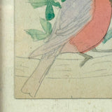 Pink Breasted Robin, Sweet Little Antique Watercolor on Card, Simply Framed