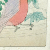 Pink Breasted Robin, Sweet Little Antique Watercolor on Card, Simply Framed