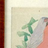 Pink Breasted Robin, Sweet Little Antique Watercolor on Card, Simply Framed
