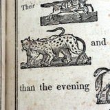 1846 Hieroglyphic Bible (for the Amusement of Youth), Alling, Seymour &  Co, Rochester, NY, with Marvelous Rebus Style Engravings Throughout