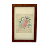 Pink Breasted Robin, Sweet Little Antique Watercolor on Card, Simply Framed