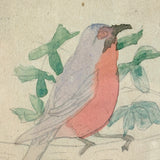 Pink Breasted Robin, Sweet Little Antique Watercolor on Card, Simply Framed