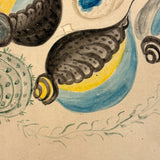 Five Seashells, 19th Century Watercolor on Wove, Signed (Right Corner Loss)