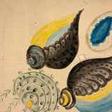 Five Seashells, 19th Century Watercolor on Wove, Signed (Right Corner Loss)