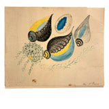 Five Seashells, 19th Century Watercolor on Wove, Signed (Right Corner Loss)