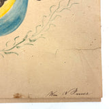 Five Seashells, 19th Century Watercolor on Wove, Signed (Right Corner Loss)