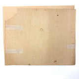 Five Seashells, 19th Century Watercolor on Wove, Signed (Right Corner Loss)