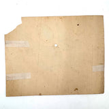 Five Seashells, 19th Century Watercolor on Wove, Signed (Right Corner Loss)