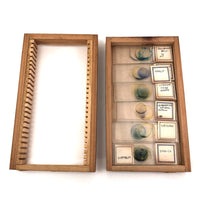 Mid-century Handmade Glass Microscope Slides with Color Pigments