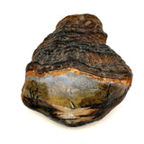 View from Shore with Sailboat, Old Folk Art Painted Conk