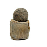 Bone and Stone