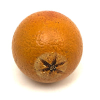Extra Large Stone Fruit Orange