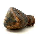 View from Shore with Sailboat, Old Folk Art Painted Conk