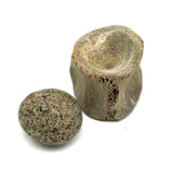 Bone and Stone