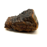 View from Shore with Sailboat, Old Folk Art Painted Conk