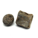 Bone and Stone