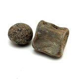 Bone and Stone