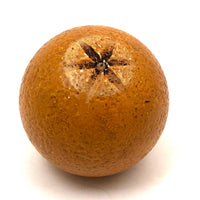 Extra Large Stone Fruit Orange