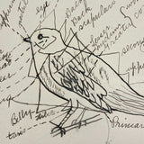 Ruth Seifert's 1915 New Brunswick High School Biology Notebook with Great Diagrams