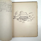 Ruth Seifert's 1915 New Brunswick High School Biology Notebook with Great Diagrams