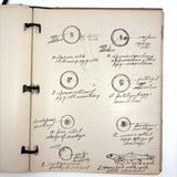 Ruth Seifert's 1915 New Brunswick High School Biology Notebook with Great Diagrams