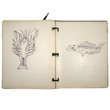 Ruth Seifert's 1915 New Brunswick High School Biology Notebook with Great Diagrams