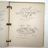 Ruth Seifert's 1915 New Brunswick High School Biology Notebook with Great Diagrams