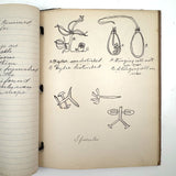 Ruth Seifert's 1915 New Brunswick High School Biology Notebook with Great Diagrams