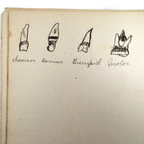 Ruth Seifert's 1915 New Brunswick High School Biology Notebook with Great Diagrams