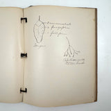 Ruth Seifert's 1915 New Brunswick High School Biology Notebook with Great Diagrams