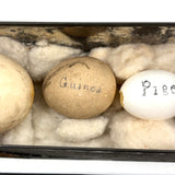 Guinea, Crow, Tame Pigeon, Turtle Dove - 1883 Iowa Egg Collection with Hand-inked Names
