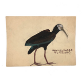 More Charming Old Birdlover's Naive Watercolors: Pair of Ibises
