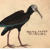 More Charming Old Birdlover's Naive Watercolors: Pair of Ibises