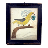 Arrilla Bisbee's Very Wonderful Yellow Bird, c. 1850 Watercolor Drawing in Period Frame, Original Glass