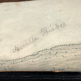 Arrilla Bisbee's Very Wonderful Yellow Bird, c. 1850 Watercolor Drawing in Period Frame, Original Glass