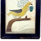 Arrilla Bisbee's Very Wonderful Yellow Bird, c. 1850 Watercolor Drawing in Period Frame, Original Glass