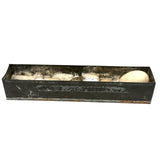 Guinea, Crow, Tame Pigeon, Turtle Dove - 1883 Iowa Egg Collection with Hand-inked Names