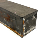 Guinea, Crow, Tame Pigeon, Turtle Dove - 1883 Iowa Egg Collection with Hand-inked Names