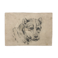 Lovely 19th Century Academic Charcoal Drawing of a Dog