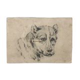 Lovely 19th Century Academic Charcoal Drawing of a Dog