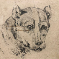 Lovely 19th Century Academic Charcoal Drawing of a Dog