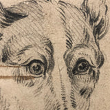 Lovely 19th Century Academic Charcoal Drawing of a Dog