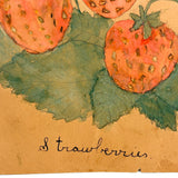 Strawberries, 1909 Pennsylvania Watercolor Drawing by Katie Eby