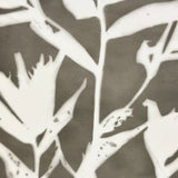 Painterly Mid 20th Century Kodak Real Photo/Photogram Postcard of Leafy Stalk