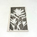 Painterly Mid 20th Century Kodak Real Photo/Photogram Postcard of Leafy Stalk